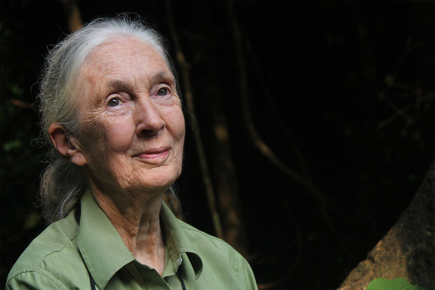 who is jane goodall