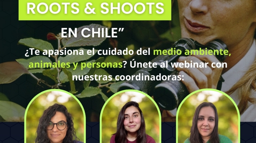Webinar: Conociendo el programa Roots & Shoots (Raíces y Brotes) en Chile