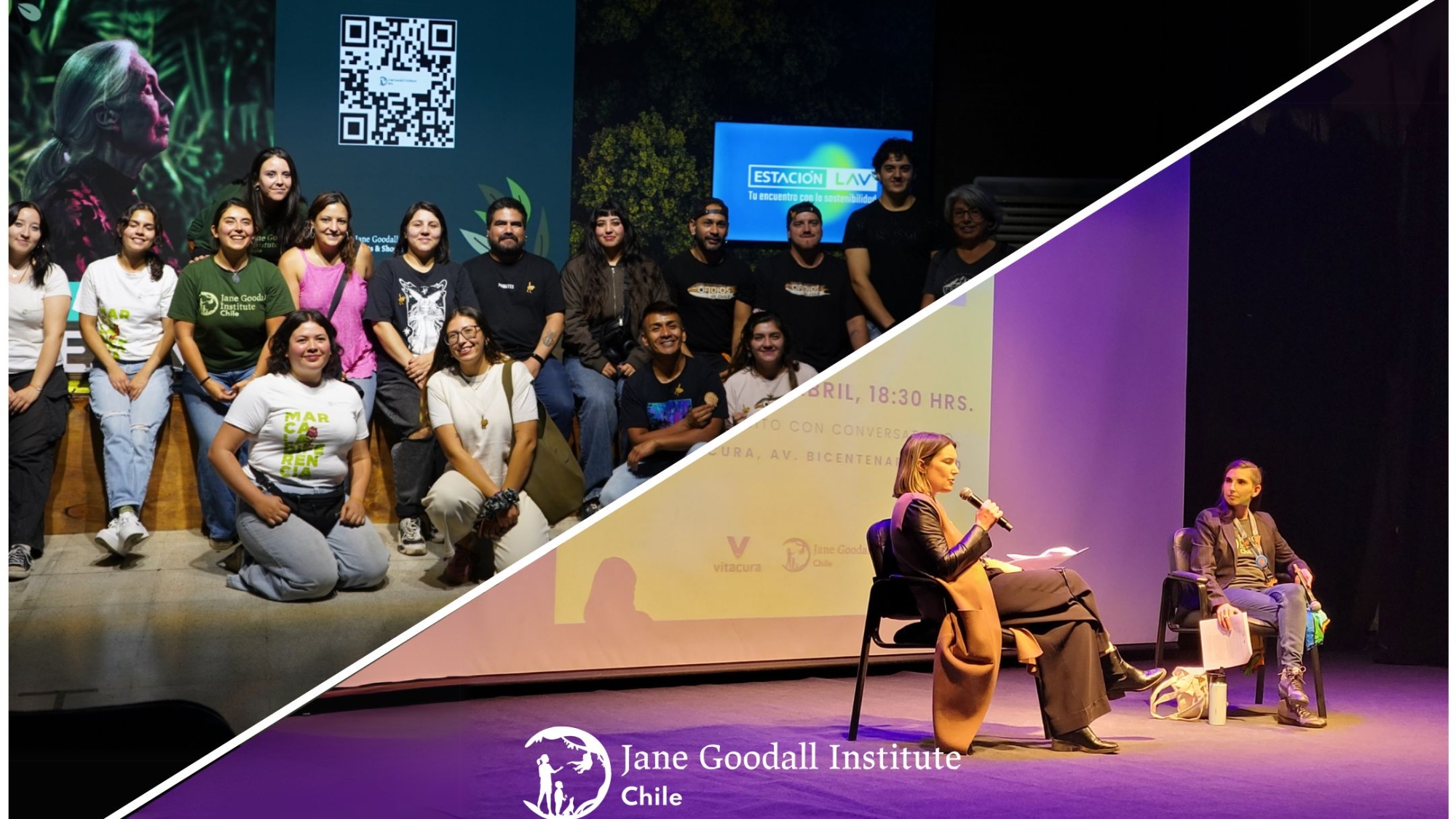 Santiago: Ciclo de eventos pone en valor el legado de Jane Goodall en la conservación ambiental