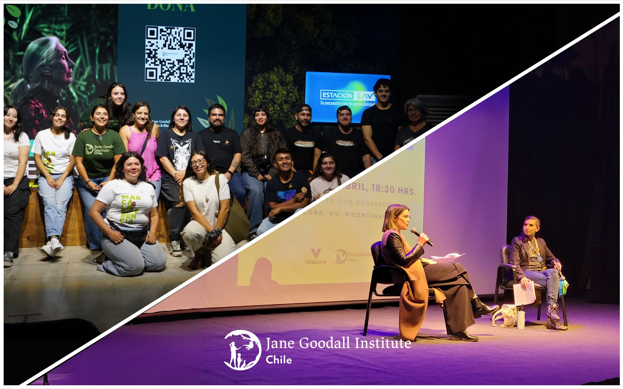 Santiago: Ciclo de eventos pone en valor el legado de Jane Goodall en la conservación ambiental