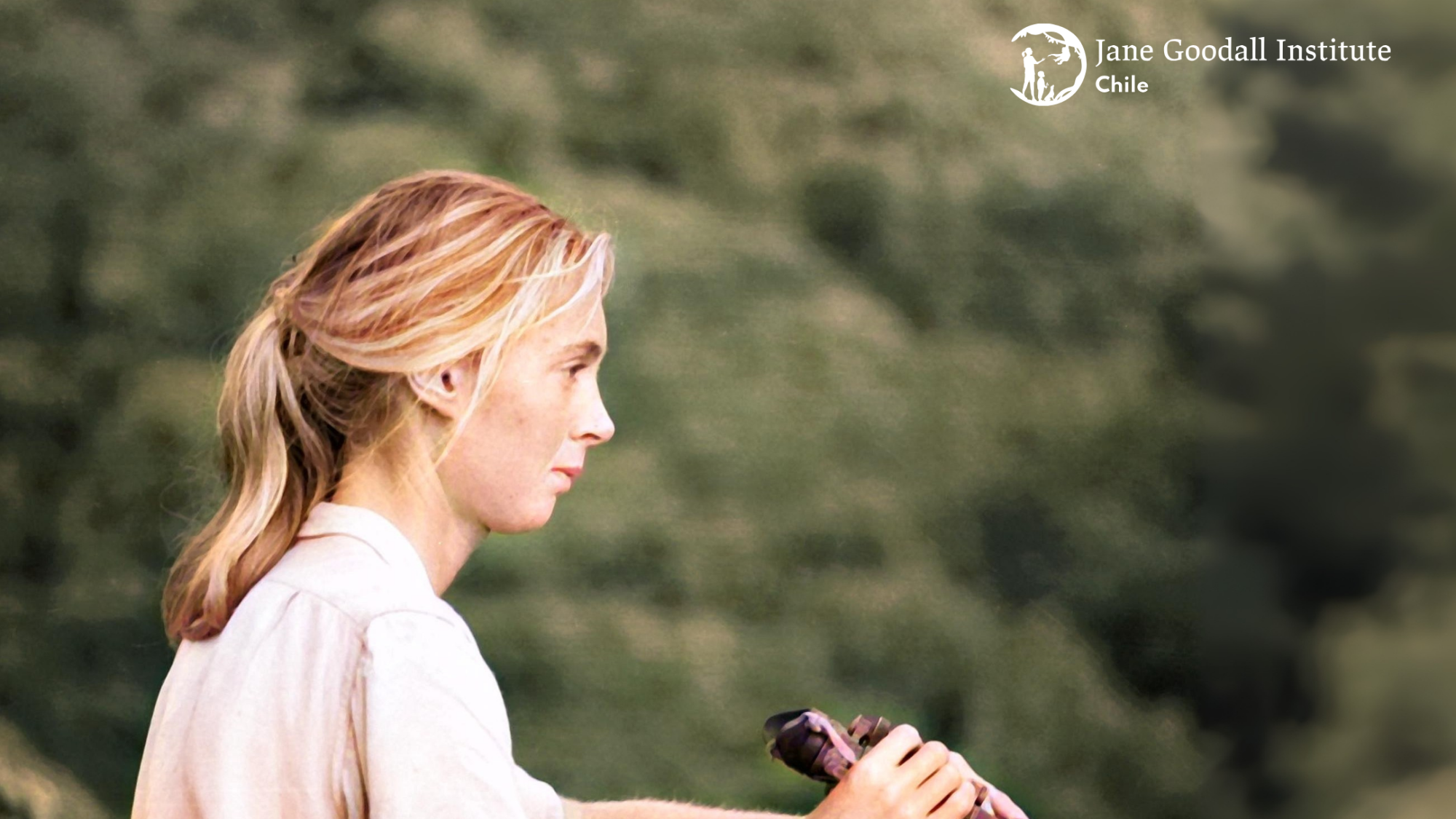 Dra. Jane Goodall: “Cuidar nuestro planeta no es simplemente una preocupación ambiental, sino la base de nuestra supervivencia”